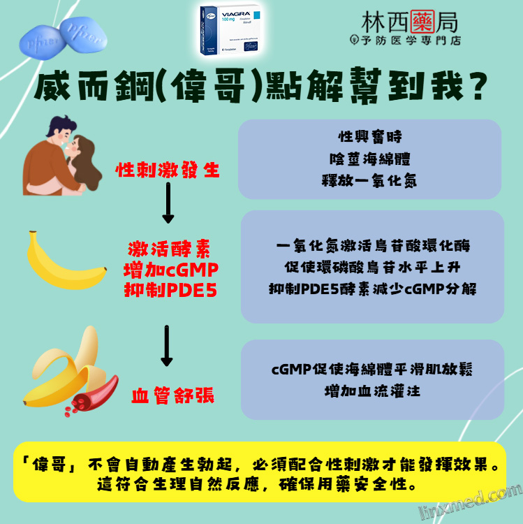  原廠威而鋼, 台廠威而鋼, 吃威而鋼感覺, 吃威而鋼死掉, 吃威而鋼無效, 哪裡買威而鋼, 威而鋼100mg瓶裝, 威而鋼25mg 效果, 威而鋼一般藥局, 威而鋼價格, 威而鋼價格ptt, 威而鋼價錢, 威而鋼切半, 威而鋼副作用, 威而鋼副作用ptt, 威而鋼劑量, 威而鋼助勃, 威而鋼台灣官網, 威而鋼吃一半, 威而鋼吃一半ptt, 威而鋼吃兩顆, 威而鋼吃半顆, 威而鋼吃法, 威而鋼哪裡買, 威而鋼哪裡買ptt, 威而鋼哪裡買的到, 威而鋼四分之一顆, 威而鋼壯陽, 威而鋼學名藥哪裡買, 威而鋼心得, 威而鋼瓶裝, 威而鋼瓶裝價格, 威而鋼瓶裝優惠, 威而鋼瓶裝副作用, 威而鋼瓶裝哪裡買, 威而鋼瓶裝多少錢, 威而鋼瓶裝購買, 威而鋼用法, 威而鋼用量, 威而鋼真假, 威而鋼真偽, 威而鋼罐裝, 威而鋼門市, 威而鋼預防高山症, 屈臣氏威而鋼, 服用威而鋼心得, 服用威而鋼心得ptt, 服用威而鋼的禁忌, 正品威而鋼, 沒處方籤買威而鋼, 美國威而鋼價格, 藍色小藥丸, 購買威而鋼, 輝瑞威而鋼, 輝瑞威而鋼哪裡買的到, 長期吃威而鋼副作用，