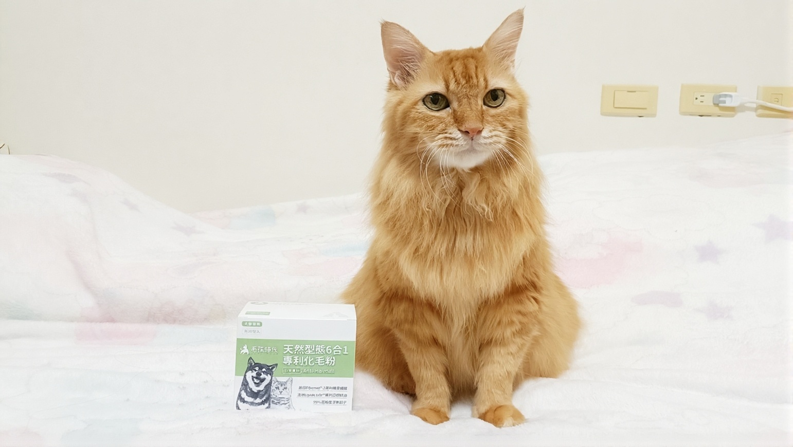 【貓咪化毛保健品開箱】毛孩時代天然型態6合1專利化毛粉｜換季排毛就靠它，挑嘴貓也買單！