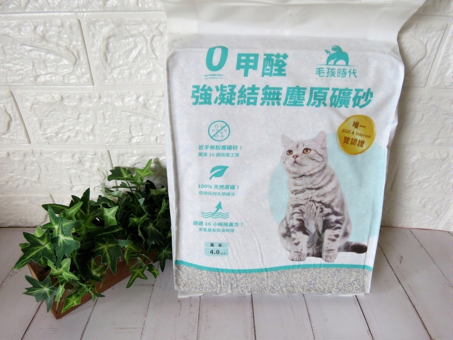 無塵貓砂首推｜毛孩時代 0 甲醛原礦砂，強凝結高除臭，守護貓咪如廁健康