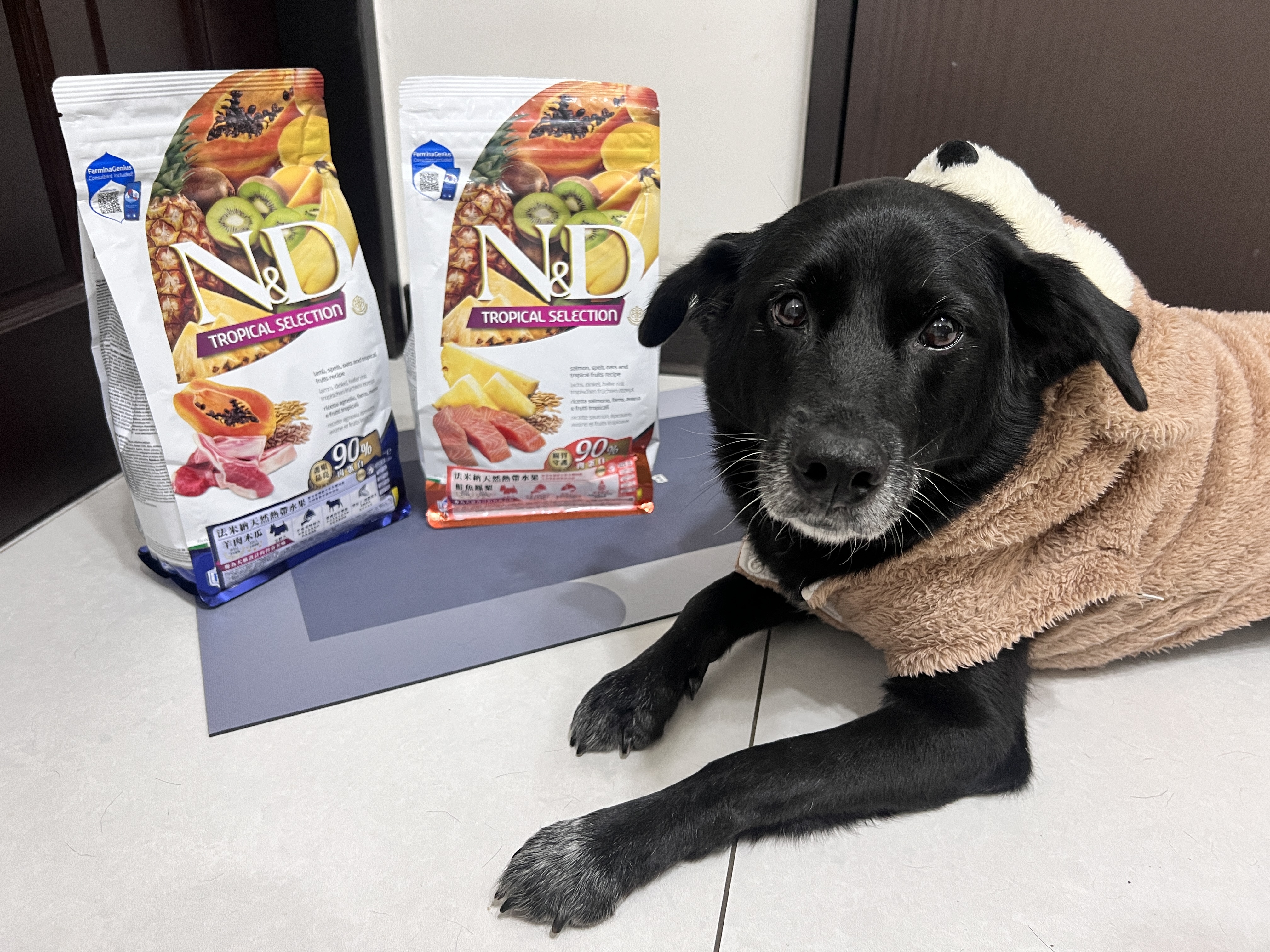 Farmina 法米納熱帶水果犬糧開箱｜WDJ 推薦低敏寵糧，挑嘴狗也愛吃，美毛護膚超省心