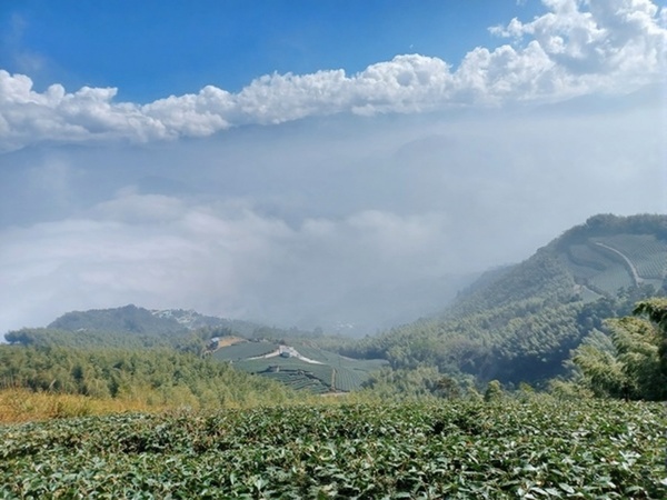 台灣機能女鞋推薦｜FM SHOES NEUTRAL 防潑水氣墊鞋，健行漫遊都好穿，舒適時尚兩不誤