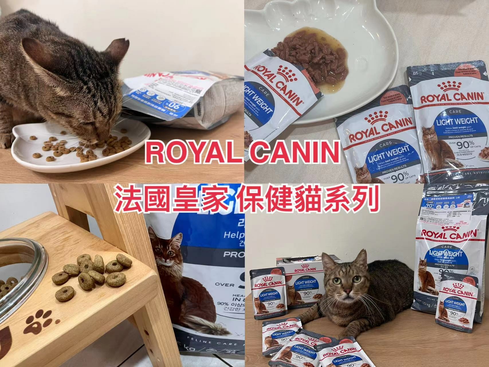 【貓飼料開箱】法國皇家L40體重控制系列｜胖貓咪的健康減重計畫