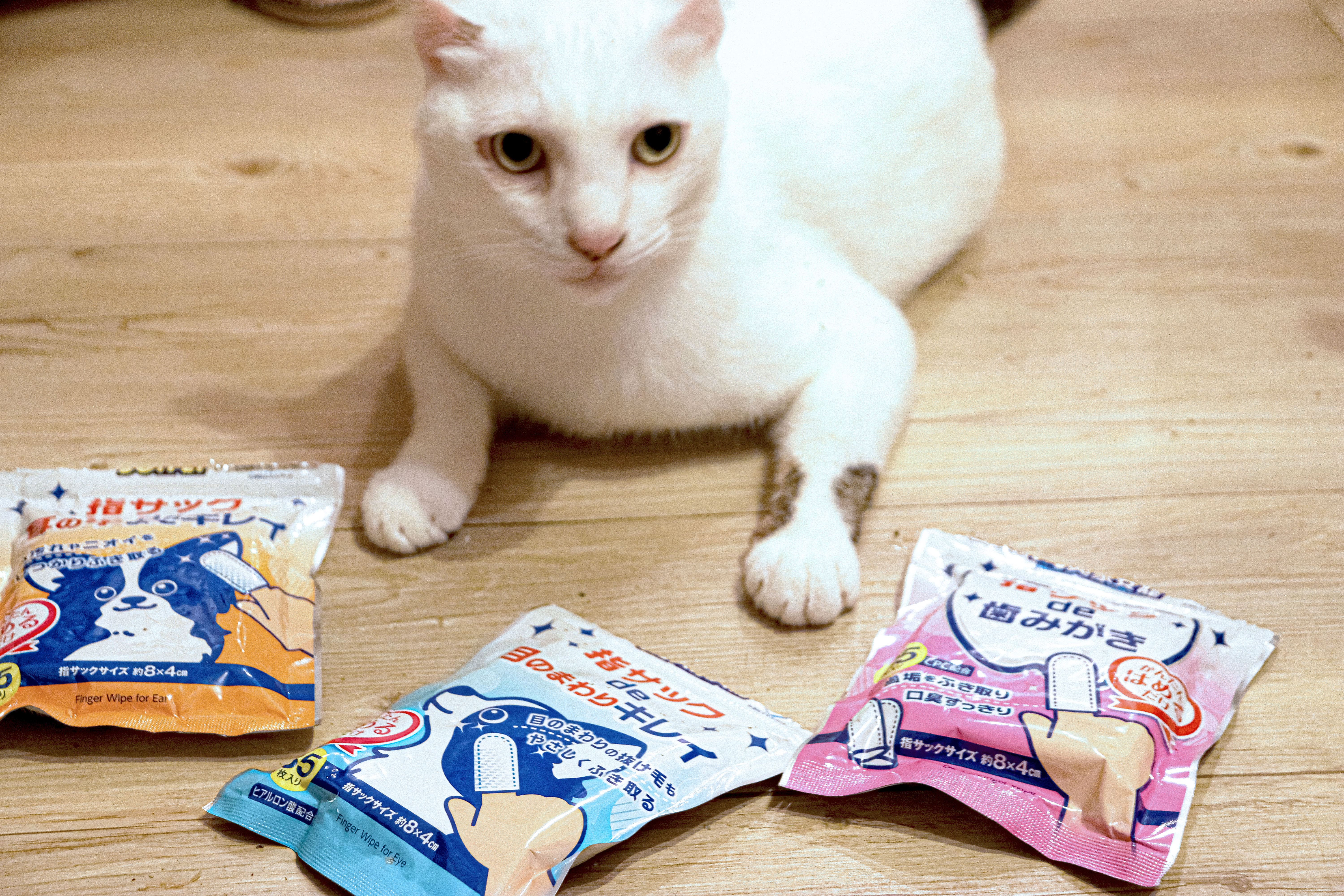 毛孩日常 SPA 神器｜興家安寵清潔濕指套，從眼耳到牙齒一站式清潔超省心