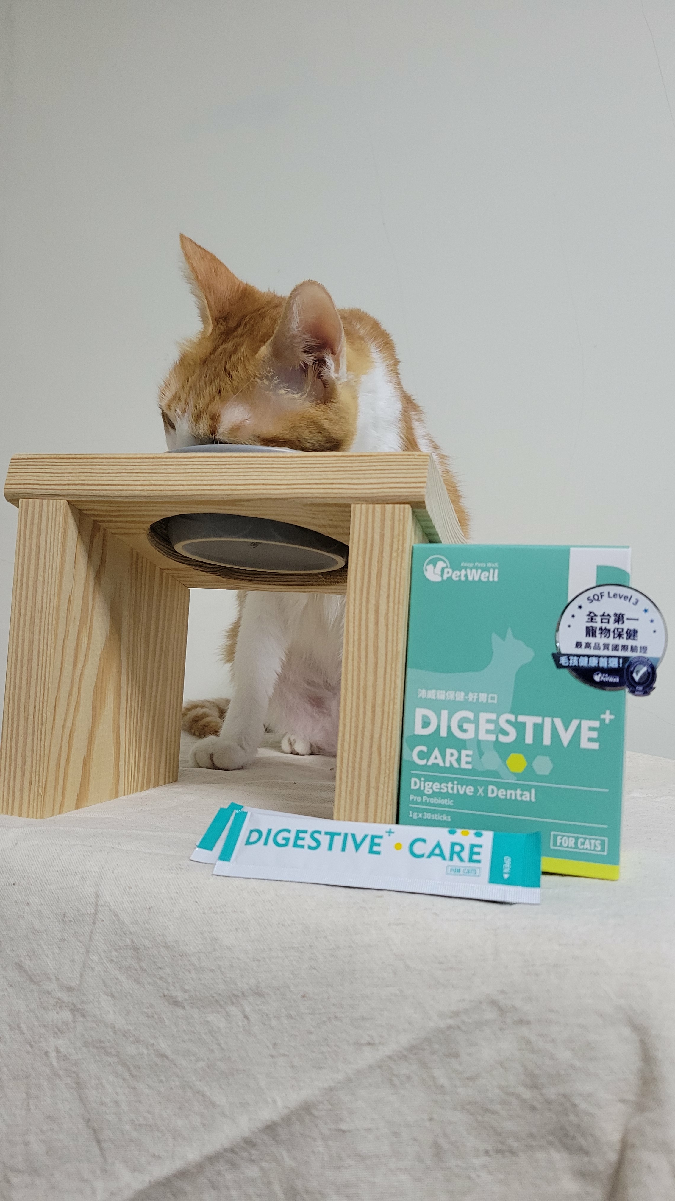 貓貓腸胃保健開箱｜沛威 PetWell 好胃口益生菌｜腸胃炎後穩定腸道超有感
