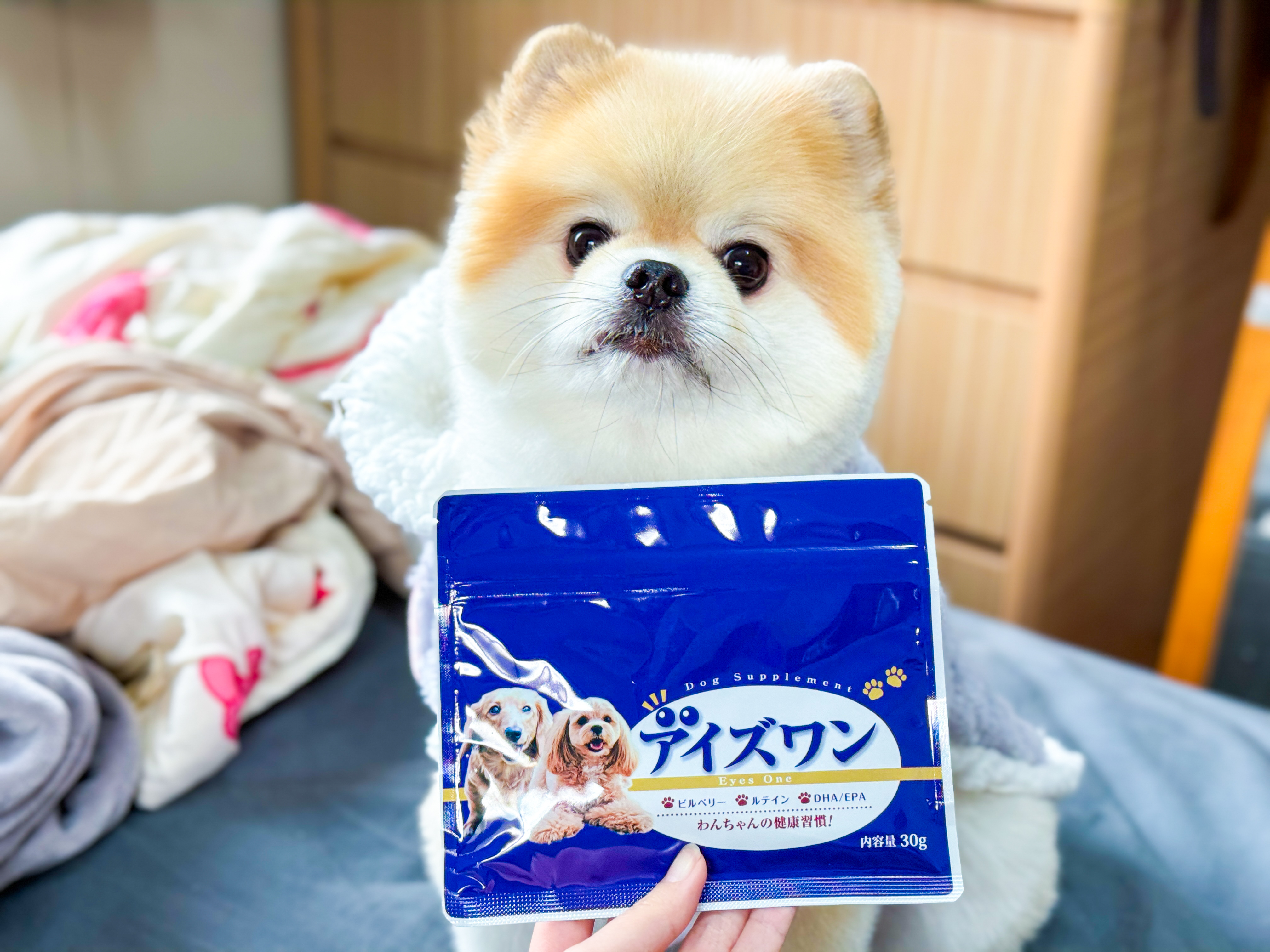 汪樂活晶透汪汪護眼保健粉｜日本犬用護眼好物，溫柔守護狗狗晶亮雙眸