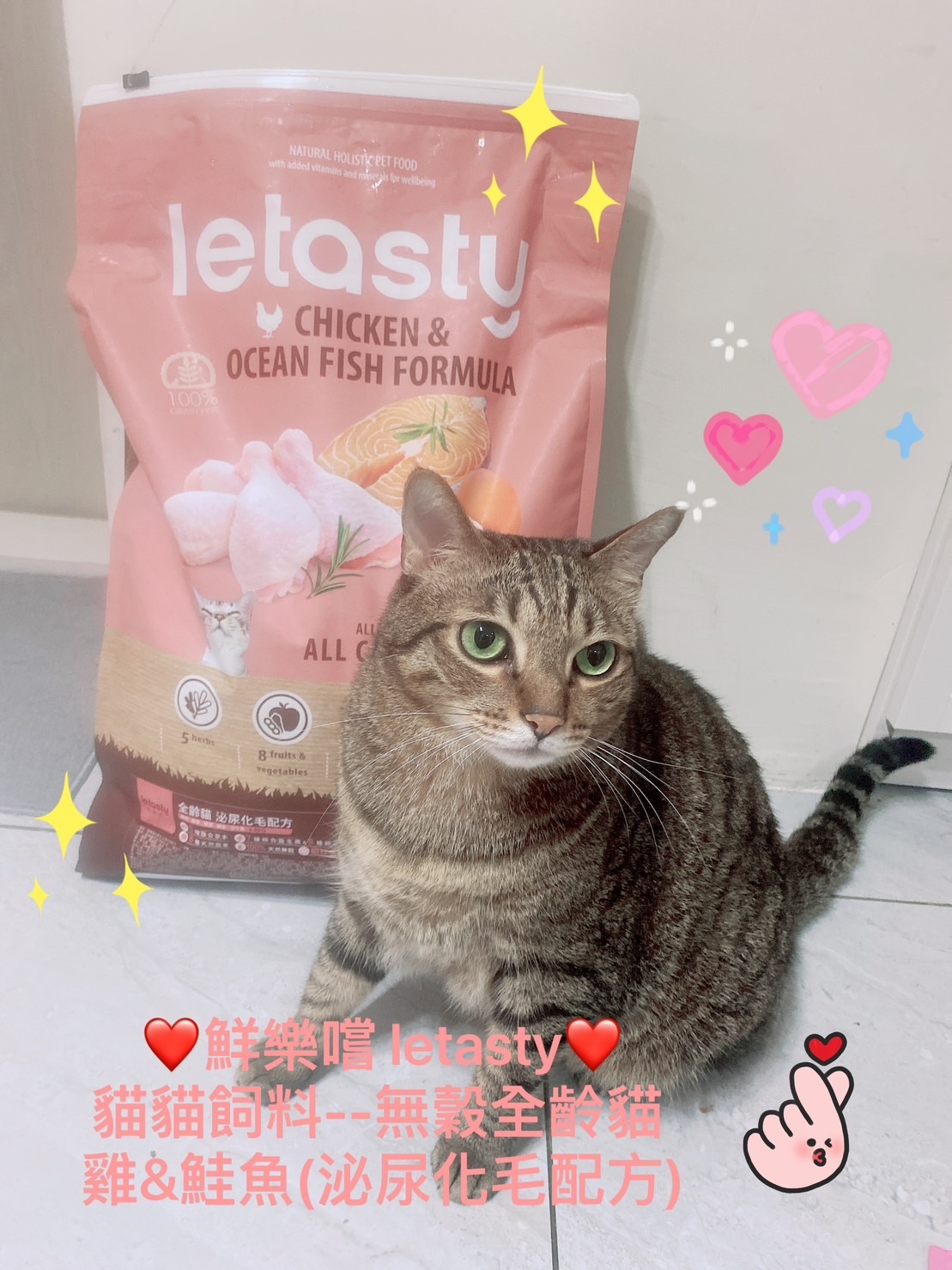 鮮樂嚐無穀貓糧實測｜腸胃敏感貓的救星，高肉低敏還能護泌尿化毛