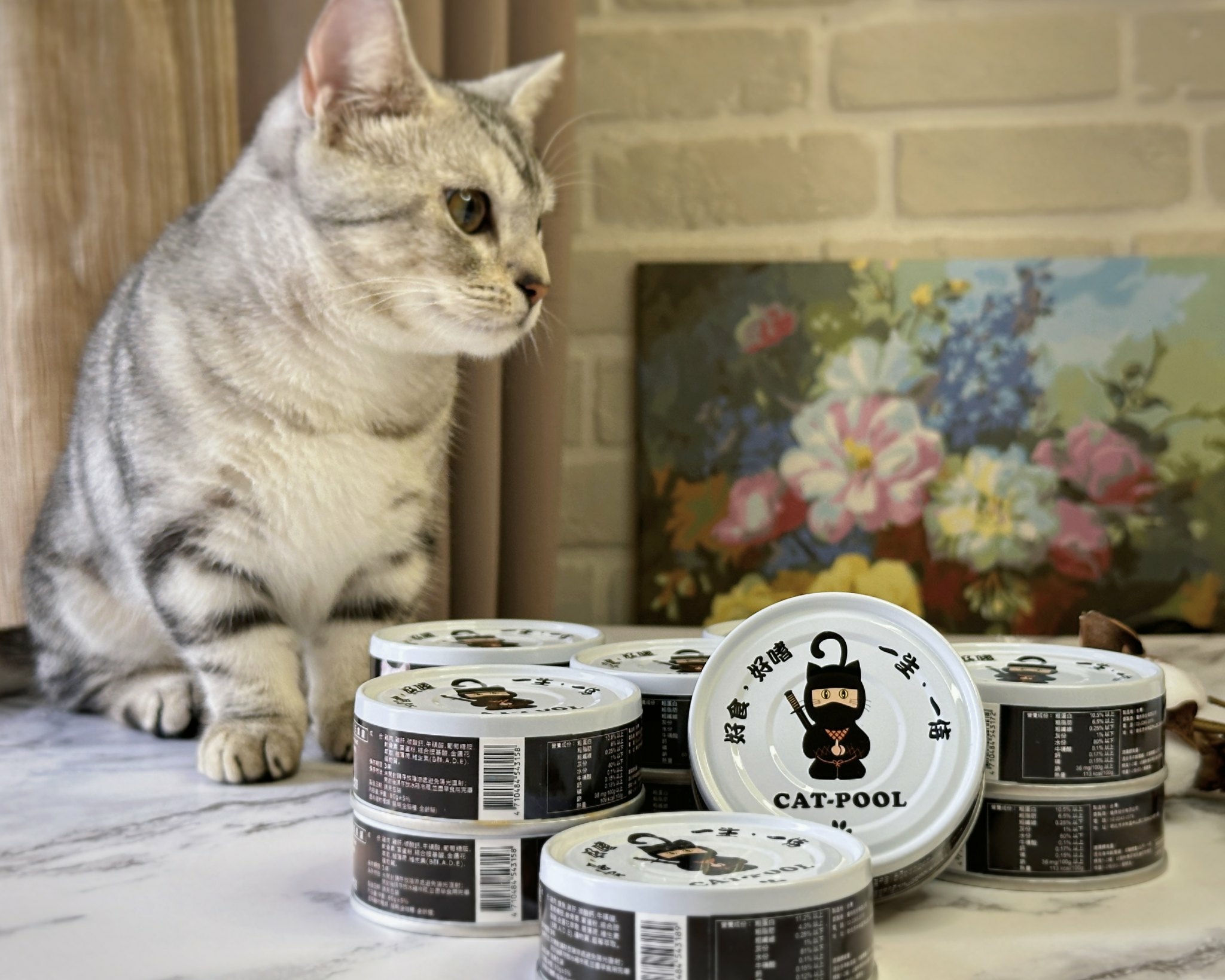 貓咪主食罐推薦｜貓侍 Catpool 升級低敏天然主食罐，低磷好吸收、毛孩超愛