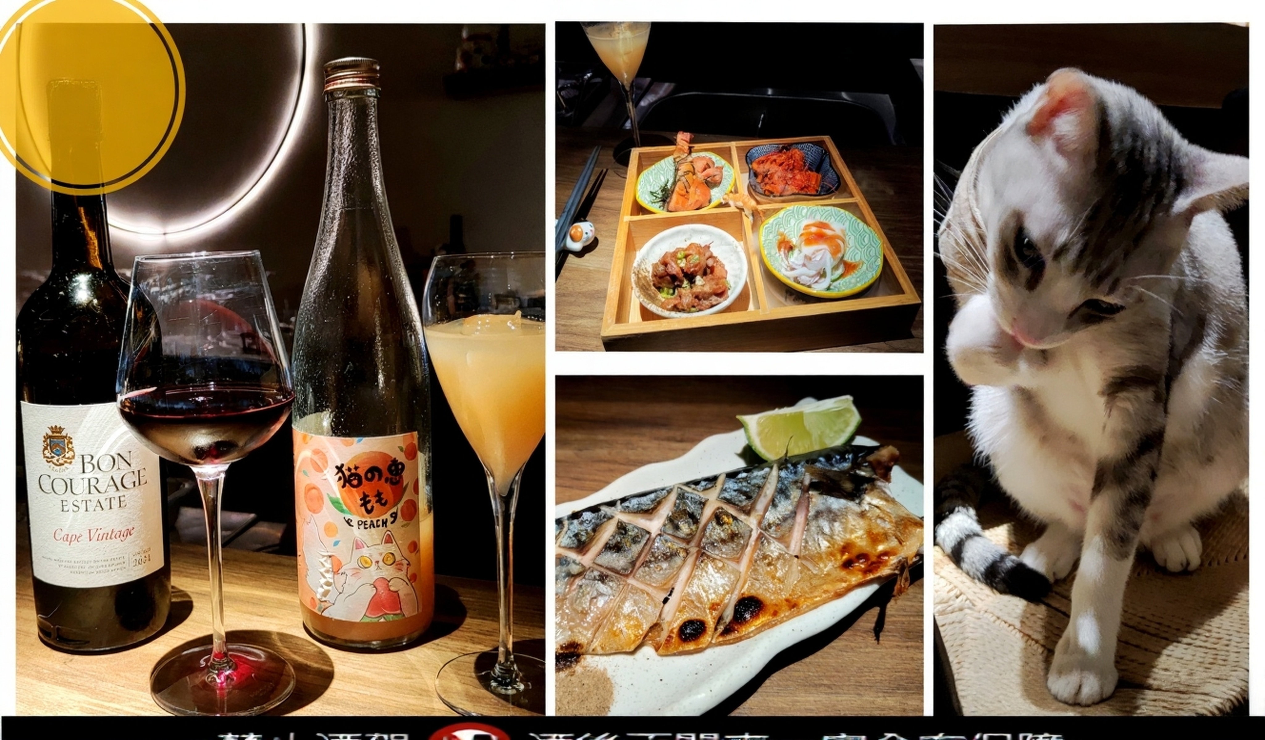 貓咪主題酒吧，閨密們的品酒x撸貓天堂@捷運忠孝敦化站,東區仁愛圓環