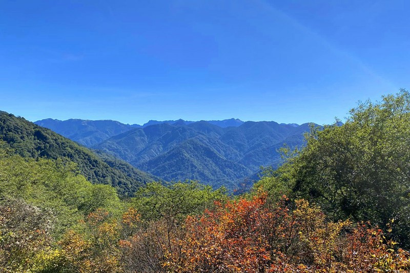 【觀霧山莊一泊二食】雙人雅房3740元｜夜賞星空、晨看日出，群山環繞心曠神怡