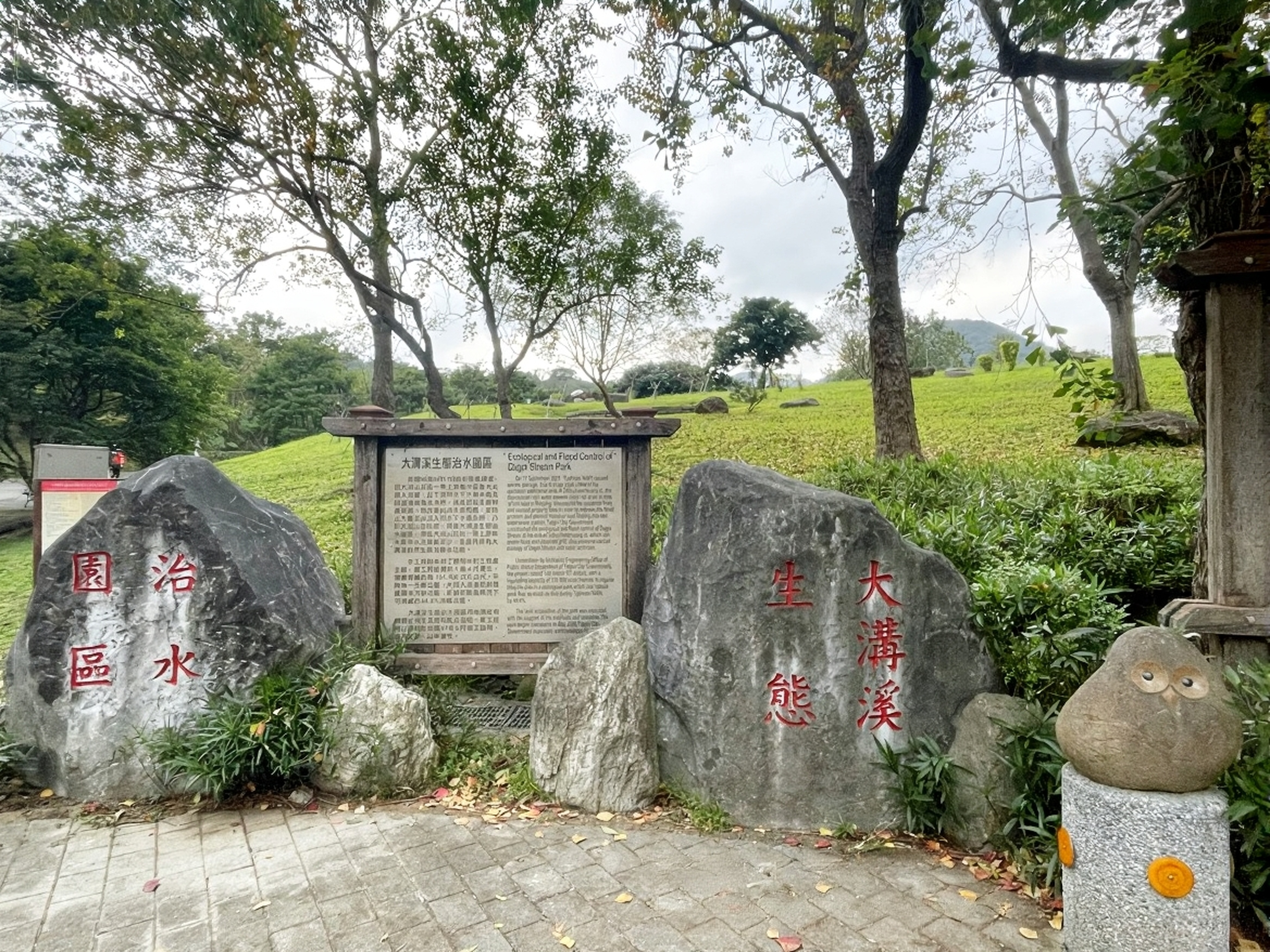 【台北內湖景點】大溝溪生態治水園區｜免費繡球花海秘境，仙氣爆棚好好拍！
